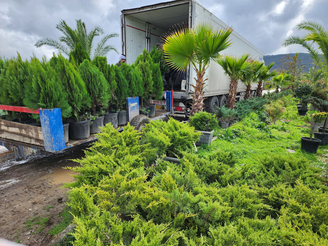 آدرس : مازندران ، تنکابن ، نعمت آباد